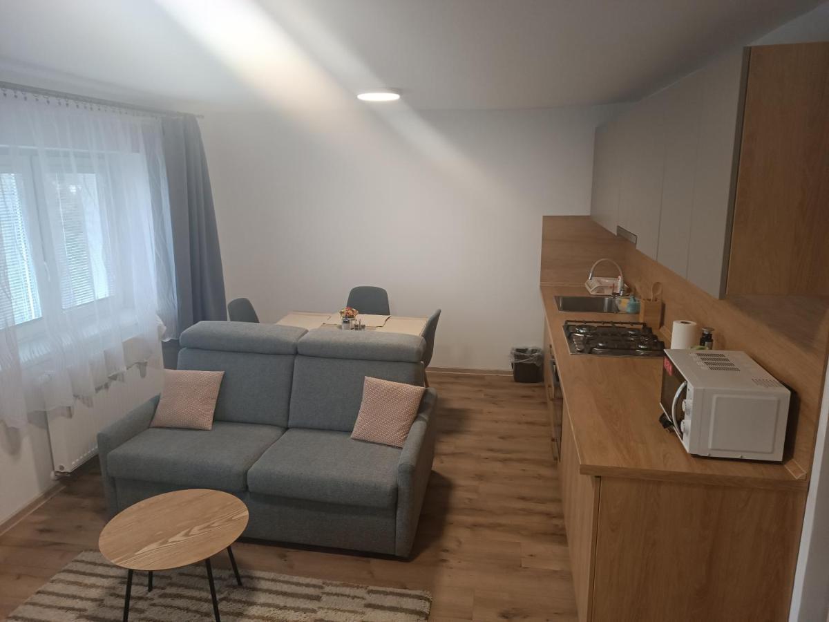 Apartmany Vila Juraj Trenčianske Teplice Екстериор снимка