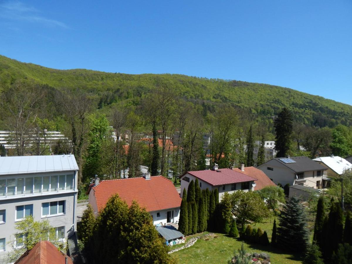 Apartmany Vila Juraj Trenčianske Teplice Екстериор снимка