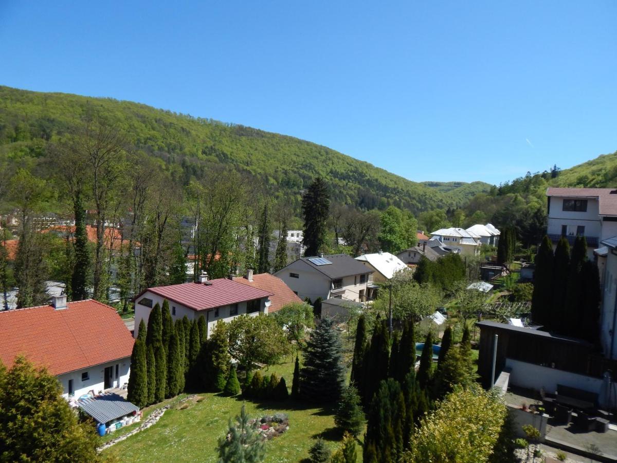Apartmany Vila Juraj Trenčianske Teplice Екстериор снимка